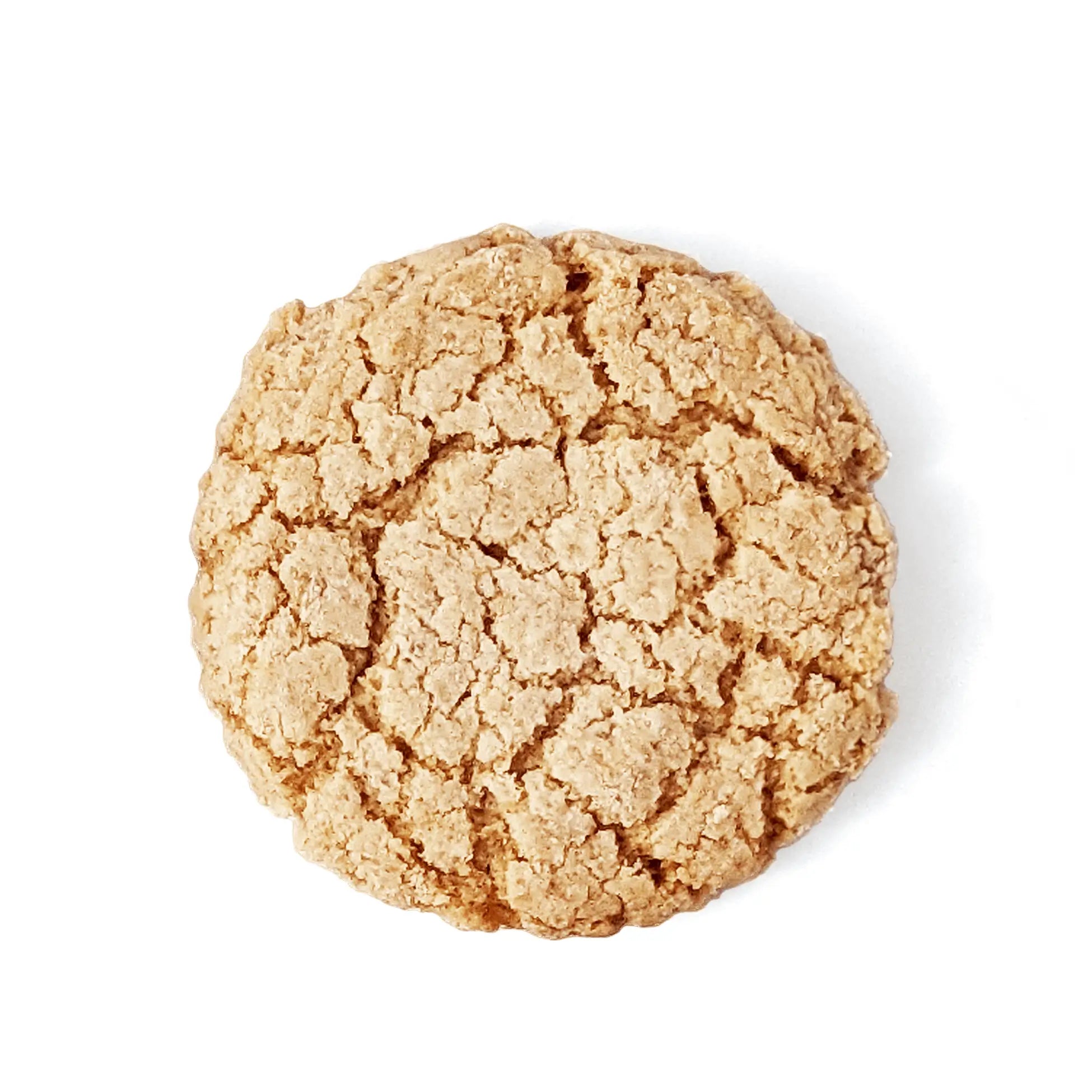 Biscuits à l’Avoine singulier