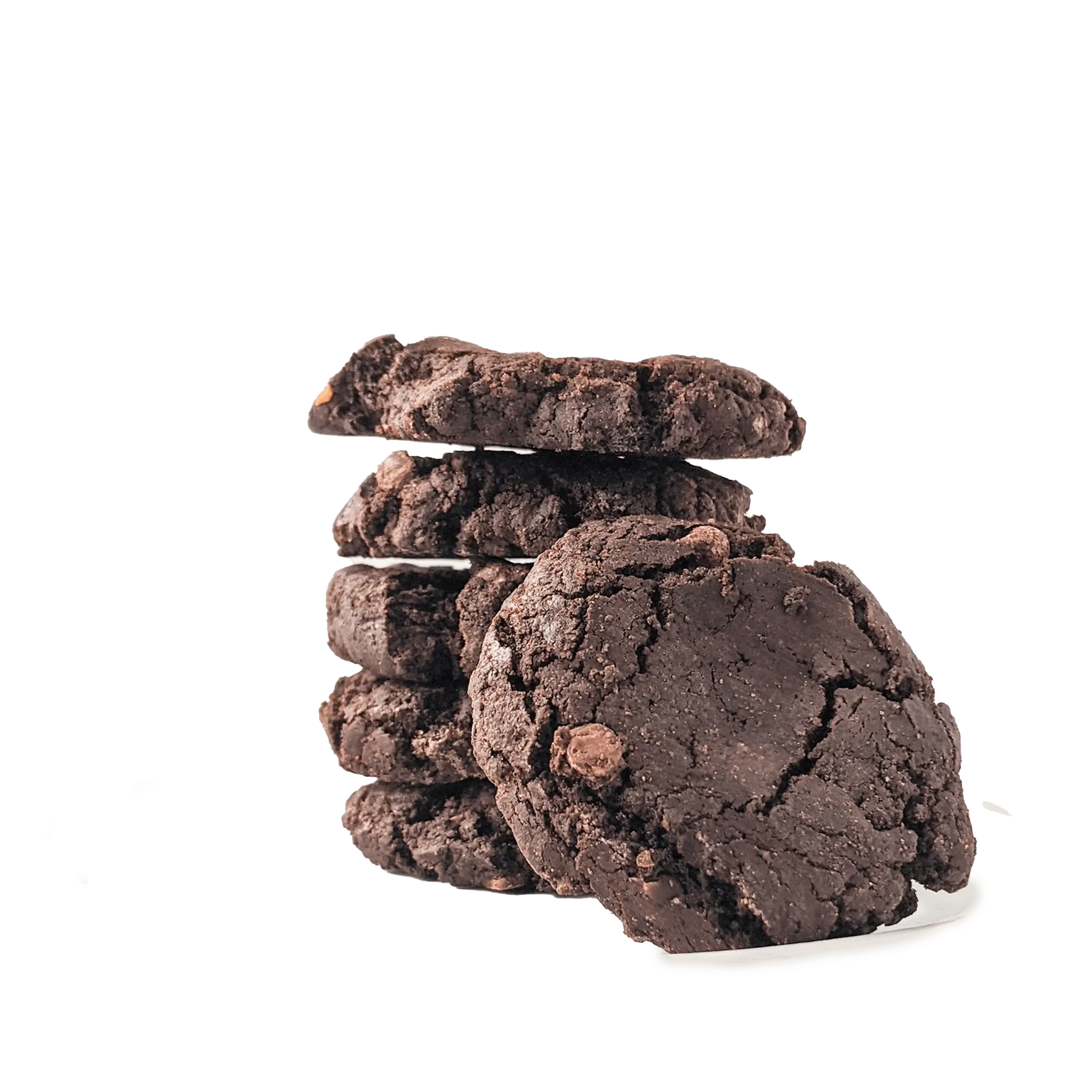 Biscuits Double chocolat exposition